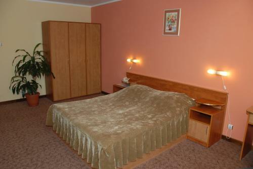 Hostal Pensiunea Turistica Europa