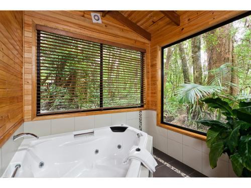 Lodge The Mouses House Rainforest Retreat