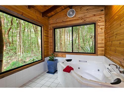 Lodge The Mouses House Rainforest Retreat