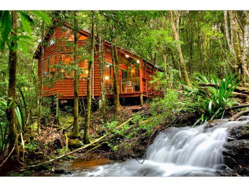 Lodge The Mouses House Rainforest Retreat