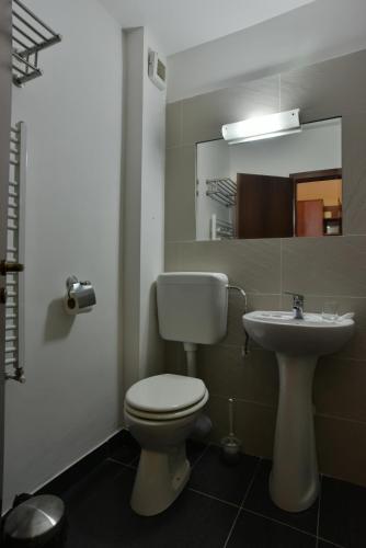 Hostal Serena Guesthouse Bran