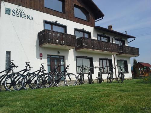 Hostal Serena Guesthouse Bran