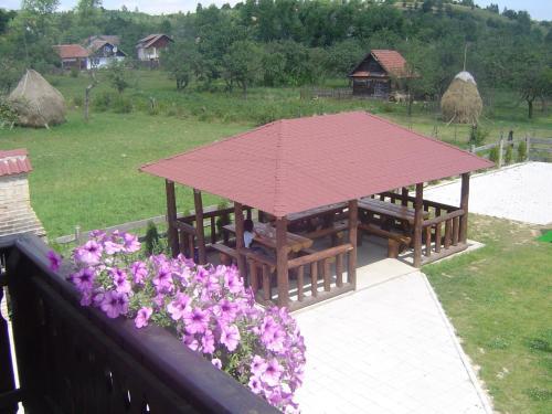 Hostal Serena Guesthouse Bran
