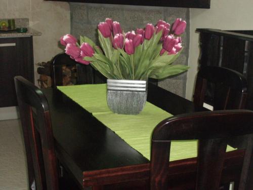 Hostal Alojamento D Ines