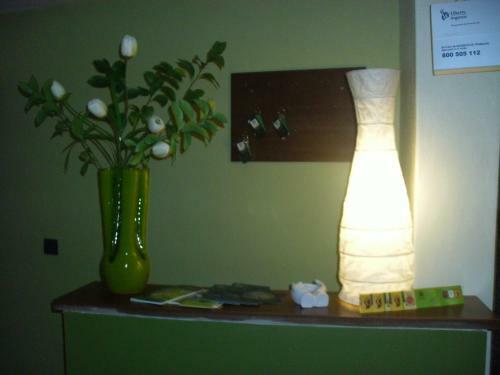 Hostal Alojamento D Ines