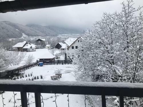 Hostal Pensiunea Cerbul Carpatin
