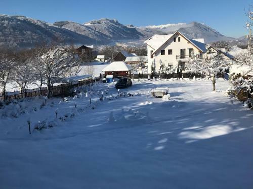 Hostal Pensiunea Cerbul Carpatin