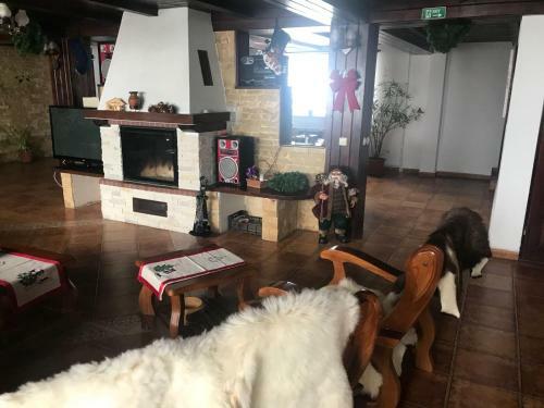 Hostal Pensiunea Cerbul Carpatin