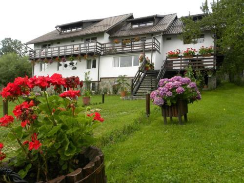 Hostal Pensiunea Cerbul Carpatin