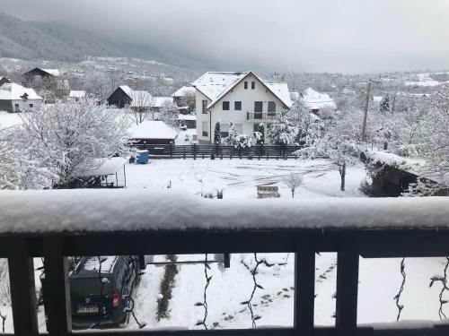 Hostal Pensiunea Cerbul Carpatin