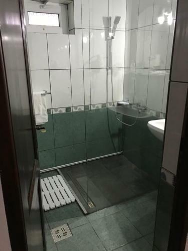 Hostal Pensiunea Cerbul Carpatin