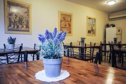 Hapina-shel-michal Hotel