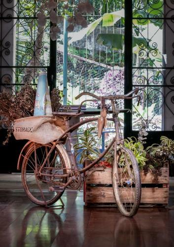 Bed & Breakfast Casa Beludi