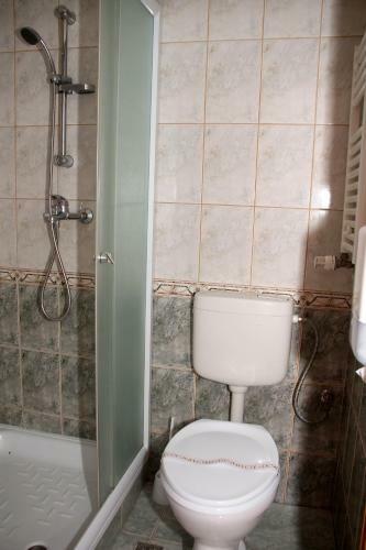 Hostal Pensiunea Timi?oara