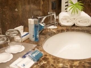 Hotel Executive
