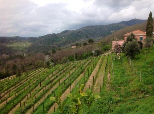 Agroturismo Agriturismo Cerrolungo