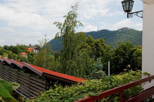 Hostal Pension Stejeris