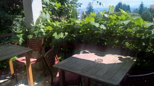 Hostal Pension Stejeris