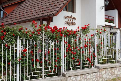 Hostal Pension Stejeris