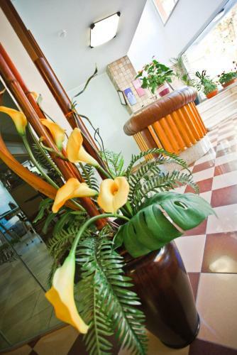 Hotel Atis