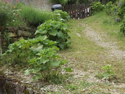 Gite Du Vignoble Car�me