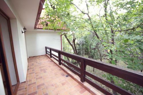 Hostal Pensiunea Moisa