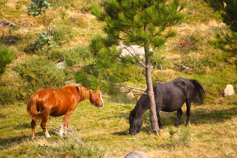 Hotel La Pesquer�a Del Tambre