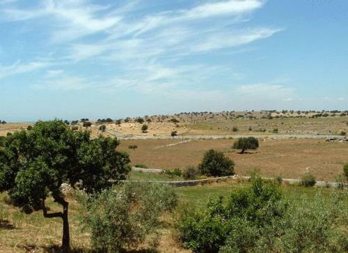 Agroturismo Casato Licitra