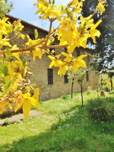 Hostal Agriturismo Torrevecchia