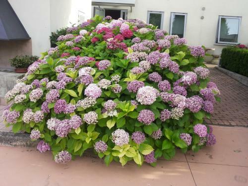 Bed & Breakfast A Casa Di Paola