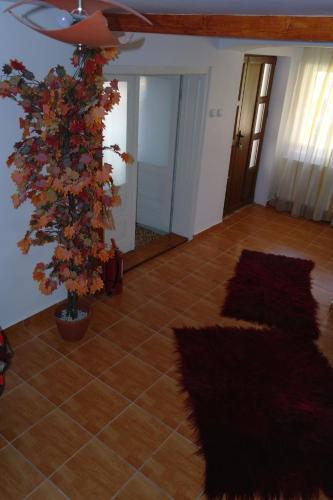 Hostal Pensiunea Arkoudaki
