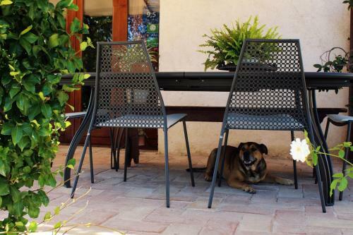 Hostal Agriturismo Il Barco