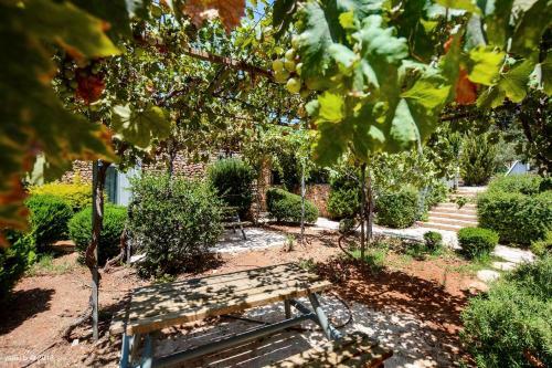 Hostal Tur Sinai Organic Farm Resort