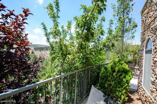 Hostal Tur Sinai Organic Farm Resort