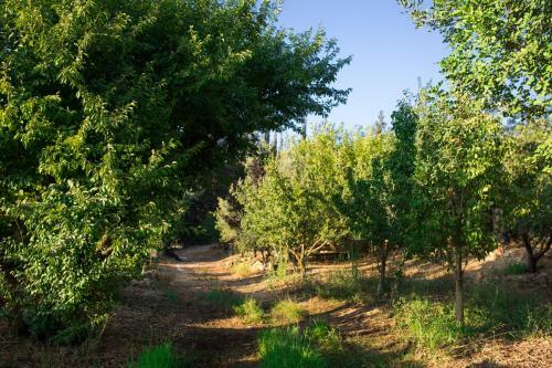 Hostal Tur Sinai Organic Farm Resort