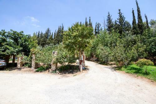 Hostal Tur Sinai Organic Farm Resort