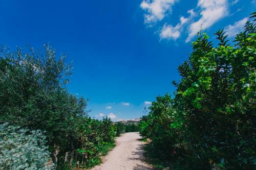 Hostal Tur Sinai Organic Farm Resort