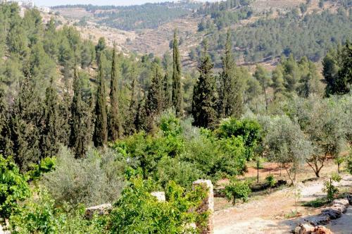 Hostal Tur Sinai Organic Farm Resort