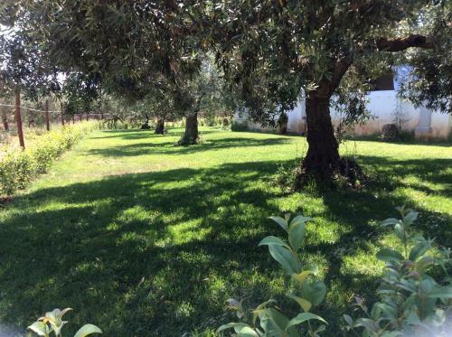 Apartamento Residenze Gli Ulivi