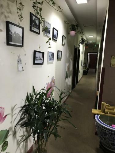 Snow Young Hostel