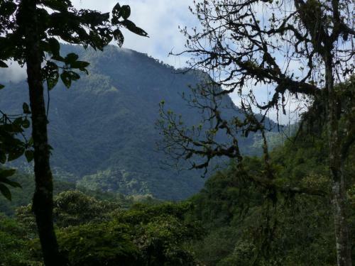Posada El Refugio De Intag Cloud Forest Retreat