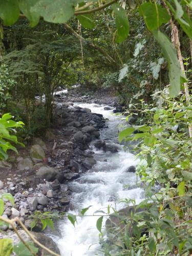 Posada El Refugio De Intag Cloud Forest Retreat