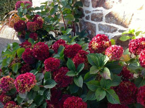 Bed & Breakfast Breizh A-gevret