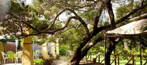 Agroturismo Agriturismo Menhir
