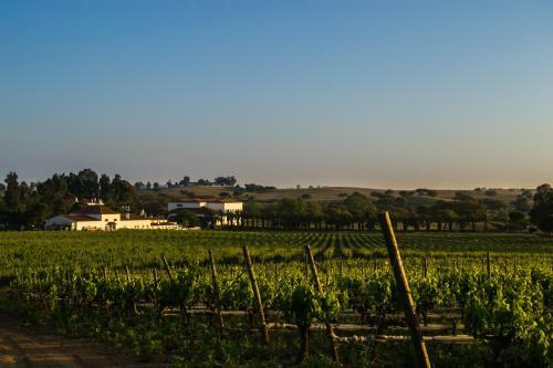 Agroturismo Herdade Da Calada