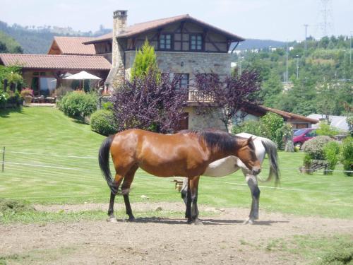 Agroturismo Casa Rural Erdikoetxe