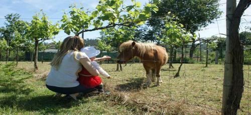 Agroturismo Quinta Lama De Cima