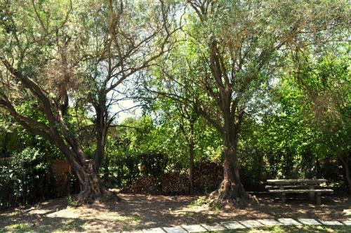 Agroturismo Los Olivos Loft
