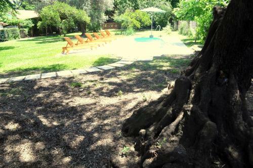 Agroturismo Los Olivos Loft