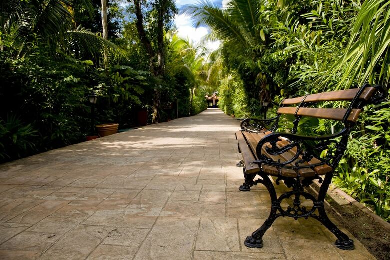 Hotel Catalonia Playa Maroma
